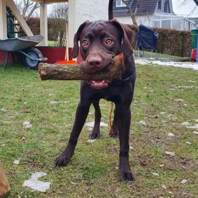 Mila3.jpg Mila3.jpg